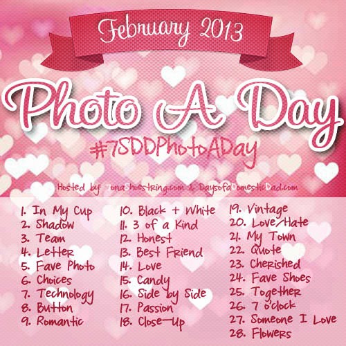 february 2013 photo a day challenge