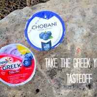 greek yogurt tasteoff