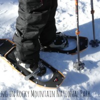 snowshoeing in rocky mountain national park