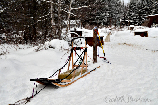 dog sled