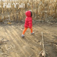 fall