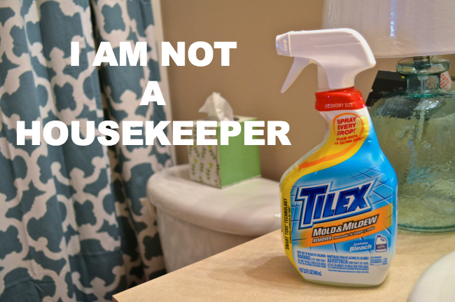 tilex mold and mildew