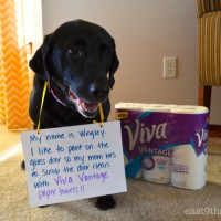 viva vantage paper towels