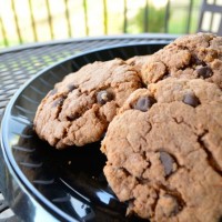 peanut butter cookies protein