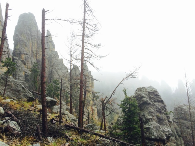cathedral spires custer state park