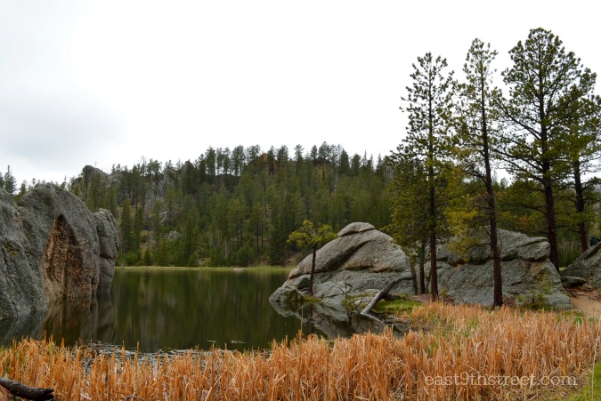 sylvan lake